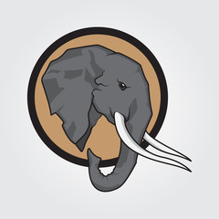 vector image elephant
