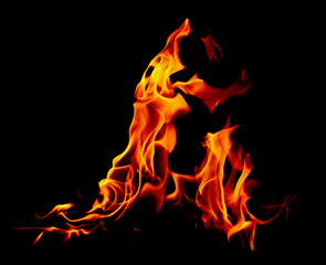 Flame of fire on a black background