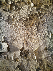 Old cracked wall with paint as background