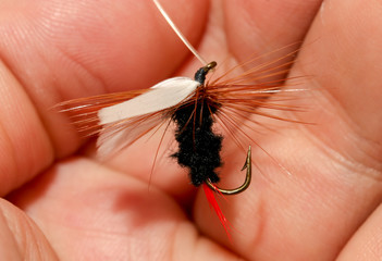 Feathers on the hook for fishing in the hand