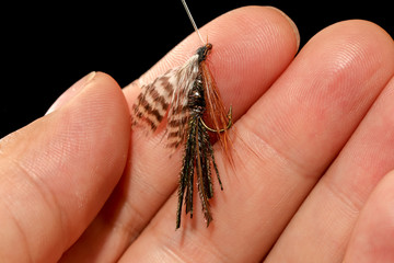 Feathers on the hook for fishing in the hand