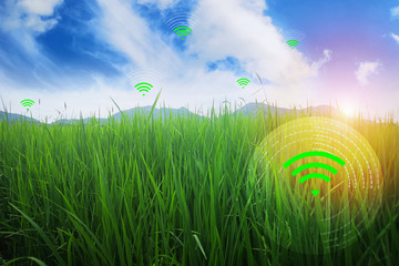 Mountain meadow background and bright sky in spring. Telephone and internet are widely spread.  Empty space for text.