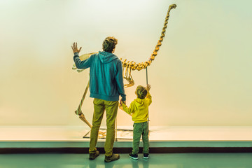 Dad and boy watching dinosaur skeleton in museum