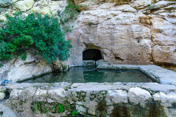 Pool in Wadi Siah, Haifa