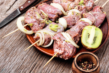 Raw shish kebab