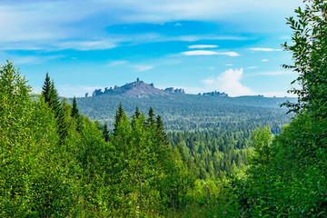 coniferous forest and mountain in the urals