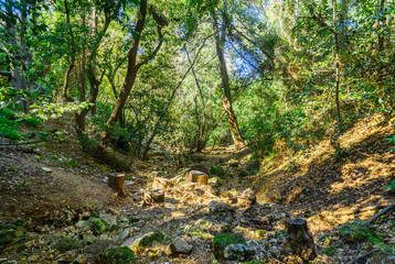 Wadi Lotem in Haifa