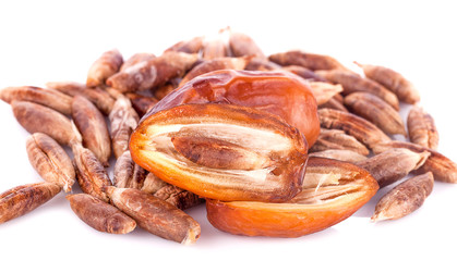 dried fruits from date palm isolated on white background