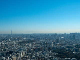 Obraz premium 【都市景観】東京 スカイツリーのある景色