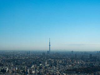 Fototapeta premium [Pejzaż miejski] Sceneria Tokyo Sky Tree