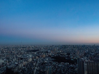 【都市景観】東京　高層ビル群　夕方