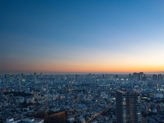 Obraz premium 【都市景観】東京 高層ビル群 夜景 池袋-新宿ほか