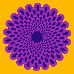 stylized chrysanthemum in orange purple shades
