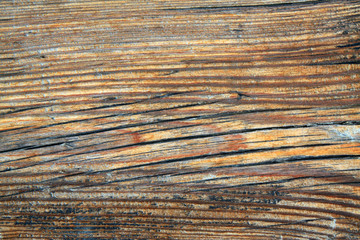 Woodiness grain