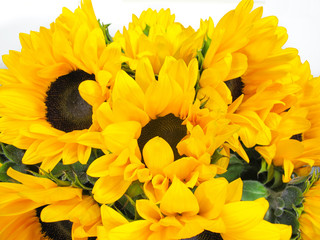 Yellow sunflowers. Beautiful sunflowers bouquet from Holland auction Alsmeer.                