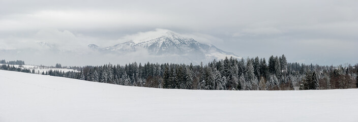Panoramic view on Rigi Kulm mountain from Zugerberg hill in winter. Switzerland