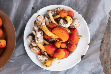 Fresh mushroom on plate harvest from forest, top view image