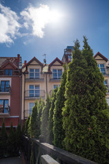 A row of fir trees growing in the yard lit by bright sunlight against background of old-fashioned architecture and vivid blue sky with occasional clouds, vibrant summer colors, focus on trees.