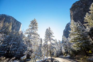 Winter in Yosemite