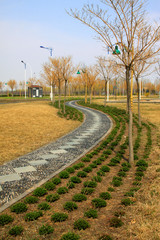Diamond stone path