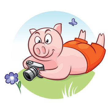 Piggy with camera takes pictures of flower and butterfly