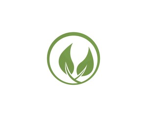 
Tree leaf vector logo design, eco-friendly concept.