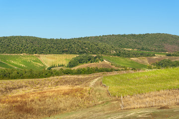 View of beautiful landscape of hills and fields near Asciano. Tuscany, Italy