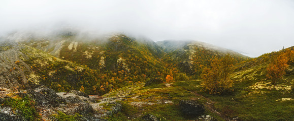 Autumn mountain forest