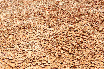 texture of mud crack