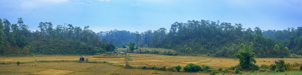 Fototapeta premium Wide panoramic view of meadow and mountains in countryside at Thailand.
