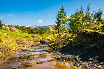 small brook in mountains. trees on the hill above the stream. mountain ridge with snowy tops in the distance. wonderful sunny day of springtime