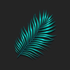 Vector illustration of realistic green tropical exotic palm tree leaves on a black background. Bright foliage