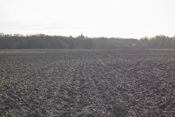 Agriculture fields in winter. English countryside in Welwyn Garden City, Hertfordshire