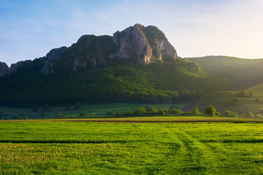 beautiful sunrise in mountains. wonderful springtime scenery with trees on a grassy meadow and huge rocky formation in the distance. location Piatra Secuiului, Romania
