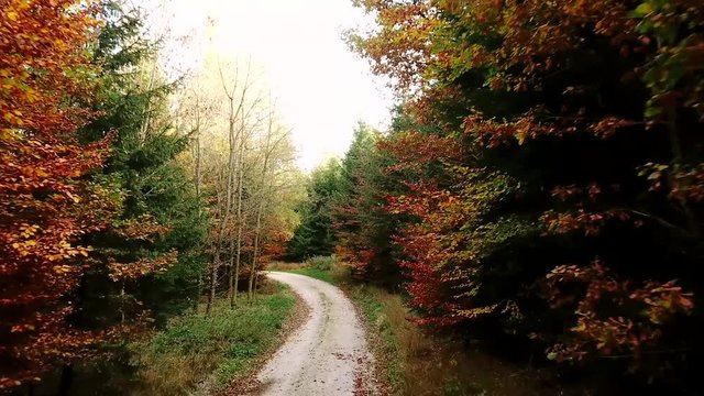Tracking shot of gravel road in a forest in autumn