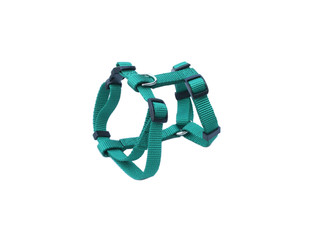 Pet harness isolated on white background.  Pet accessories concept