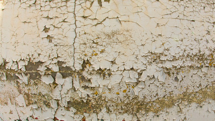 Isolated close view of weathered exterior wall with heavily peeling paint and moss growth