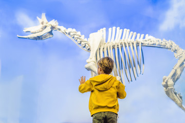 The Boy watching dinosaur skeleton in museum