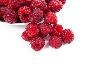 Harvested juicy ripe raspberries fruit on white background..
