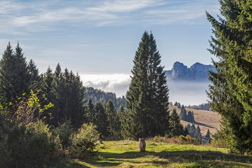 Nebelimpressionen auf der Hochebene der Vezzena