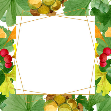 Green ginkgo biloba. Floral botanical flower. Frame border ornament squar