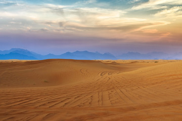 Fototapeta na wymiar Desert with sand dunes at sunset, wilderness desert landscape or panorama
