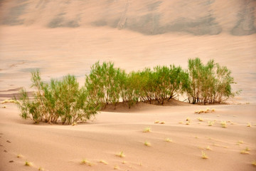 Sand dunes in the desert of Kazakhstan in the evening.