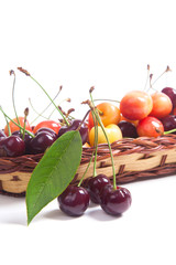 Yellow and red sweet cherry in basket with green leaf isolate on white.