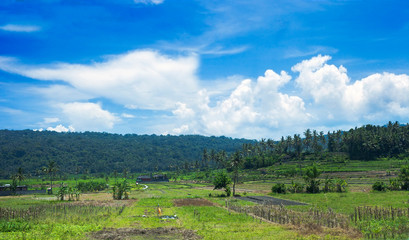 Obraz premium Panoramic view with green fields in Bali, Indonesia