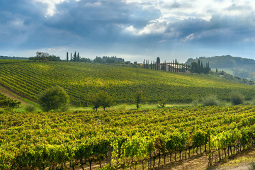 Landscape in Chianti region in province of Siena. Tuscany. Italy