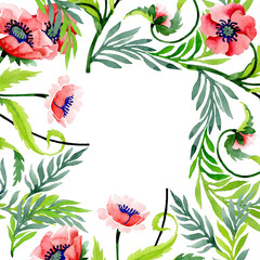 Ornament with red poppies. Floral botanical flower. Frame border ornament square.
