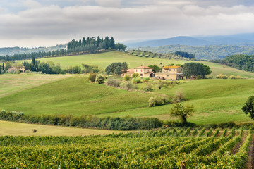 Fototapeta na wymiar Landscape in Chianti region in province of Siena. Tuscany. Italy
