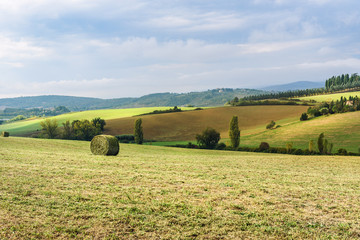 Landscape in Chianti region in province of Siena. Tuscany. Italy