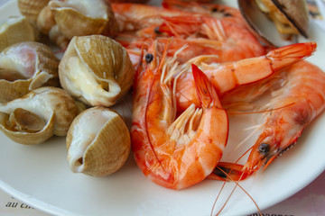 assiette de fruits de mer